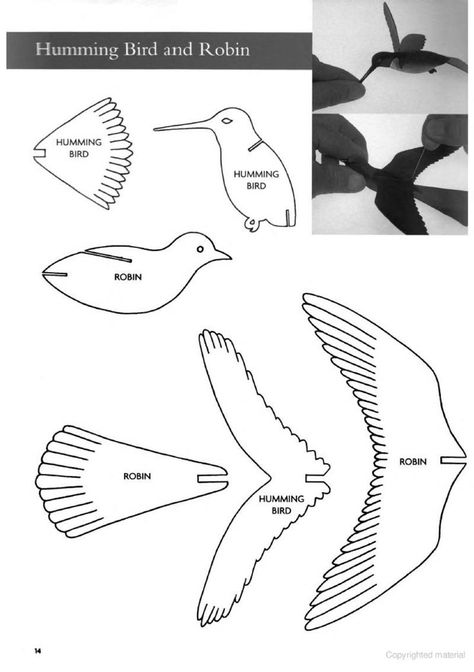 13 3d Animal Templates Ideas 56F