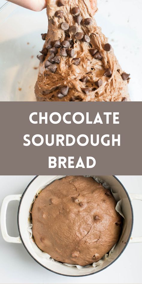 chocolate sourdough bread being formed Easy Fast Sourdough Bread, Chewy Sourdough Bread, Sourdough Bread Chocolate Chip, Sweet Sourdough Loaf Recipes, Easy Chocolate Sourdough Bread, Sourdough Recipes Chocolate, Herb Sourdough Bread Recipe, Double Chocolate Chip Sourdough Bread, Chocolate Peppermint Sourdough