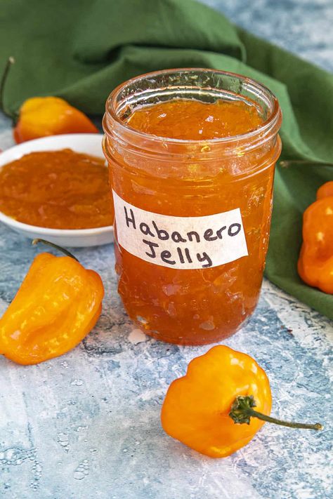 Habanero Pepper Jelly Recipe - Recipe - Chili Pepper Madness Haberno Jelly Recipes, Habanero Jelly Recipes, Super Chili Pepper Recipes, Habanero Recipes Pepper Jelly, Habanero Jam Recipes, Things To Make With Habanero Peppers, Habenero Honey Recipe, Small Batch Hot Pepper Jelly, Canned Jelly Recipes