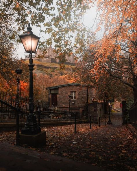 John Murray | Scotland (@johnmurrayjnr) • Instagram photos and videos Edinburgh Winter, Genius Loci, Dark Autumn, Changing Leaves, Autumn Scenes, Edinburgh Scotland, Seasons Of The Year, Autumn Cozy, Autumn Aesthetic