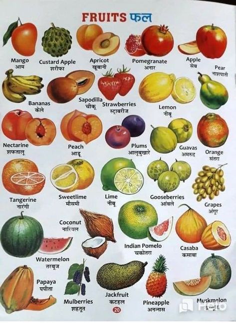 Fruits Names In English And Hindi, Fruits And Vegetables Names, Vegetables Names With Pictures, Name Of Vegetables, Fruits And Vegetables List, Werewolf Cat, Fruits Name In English, Vegetable Chart, List Of Spices