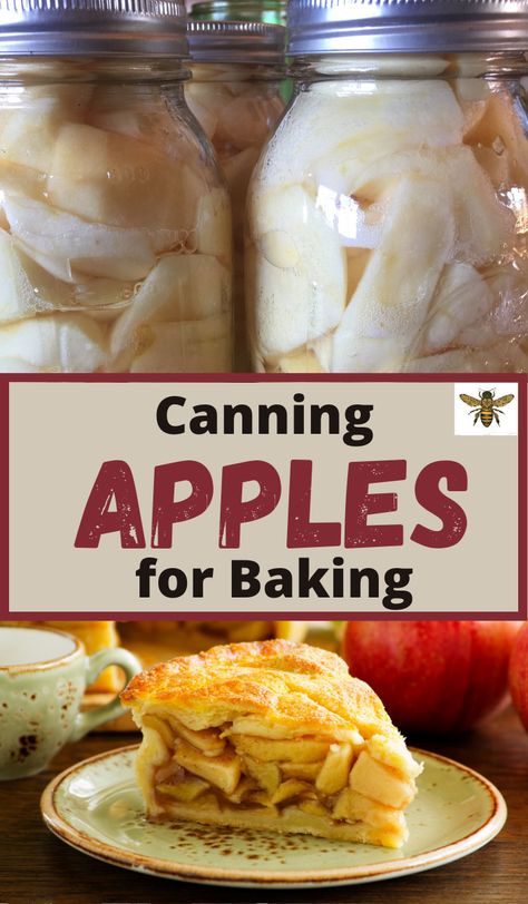 How To Can Apples For Apple Pie Filling, Canning Cooked Apples, Canning Granny Smith Apples, Canning Apple Slices, Canning Fried Apples, Apples Canning, Apple Recipes For Canning, Can Apples, Apple Canning