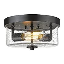 Check this out! Farmhouse Flush Mount Light, Hallway Ceiling Light Fixtures, Cage Ceiling Light, Hallway Light Fixtures, Black Ceiling Lighting, Kitchen Ceiling Lights, Flush Mount Lights, Bathroom Ceiling Light, Hallway Kitchen