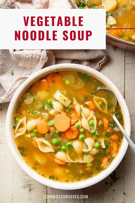 This vegetable noodle soup is so simple, but also so delicious and comforting! Made with pasta, veggies and fresh herbs, a big bowl of this easy vegan soup is the perfect meal to warm you up on a cold winter day! Vegan Vegetable Noodle Soup, Veggie Soup With Pasta, Vegetarian Noodle Soup Recipes, Healthy Veg Soup, Vegetable And Pasta Soup, Pasta Soup Vegetarian, Vegetable Noodle Soup Recipes, Healthy Noodle Soup, Vegetable Soup With Noodles