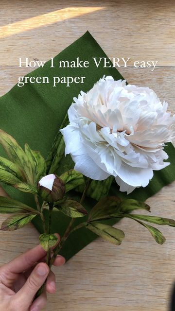 Crepe Paper Backdrop, Rolled Fabric Flowers, Paper Peonies Tutorial, Peony Tutorial, Crepe Paper Flowers Tutorial, Paper Peony, Rolled Paper Flowers, Flowers Easy, Paper Flower Art