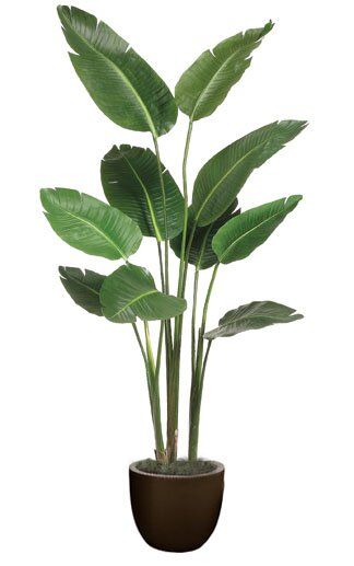 Banana Leaf Tree, Plants In Baskets, Paradise Plant, Artificial Plants Indoor, Artificial Plant Wall, Artificial Plants Outdoor, Hanging Plants Indoor, Floor Plants, Topiary Trees