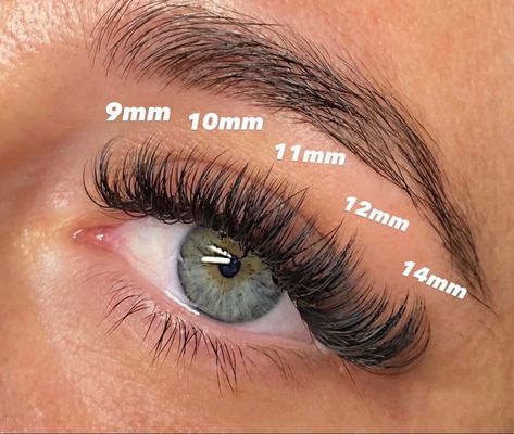 Lash Extension Map, Map Eyelash Extensions, Natural Fake Eyelashes, Best Lash Extensions, Lashes Tutorial, Lashes Fake Eyelashes, Eyelash Tips, Eyelash Technician, Cat Eye Lash