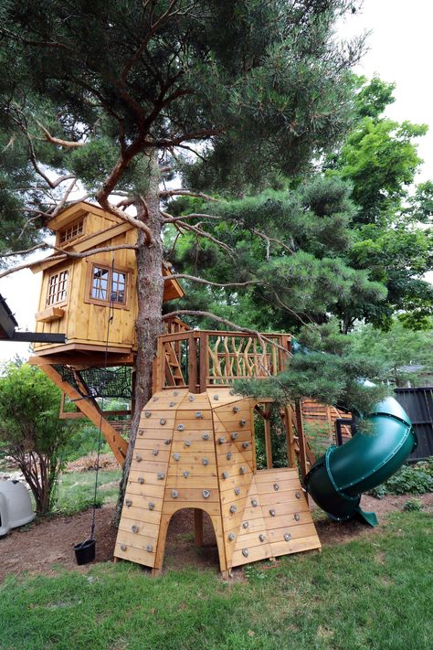 Tree House Ideas For Kids, Treehouse Playground, Playset Diy, Outdoor Playscapes, Backyard Treehouse, Woodworking Beginner, Treehouse Ideas, Scots Pine, Kids Backyard Playground