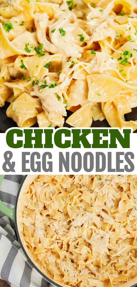 Chicken and Egg Noodles is a simple comfort food dish made with shredded rotisserie chicken, extra broad egg noodles, diced onion, cream of chicken soup and milk. Diced Chicken Dinner Recipes, Easy Dinner Recipes For Family Rotisserie Chicken, Shredded Chicken Egg Noodles, Egg Noodles Cream Of Chicken Soup, Cream Chicken And Noodles, Recipes With Chicken And Cream Of Chicken Soup, Cream Of Chicken Egg Noodle Recipes, Chicken Tetrazzini Egg Noodles, Egg Noodles With Cream Of Chicken Soup