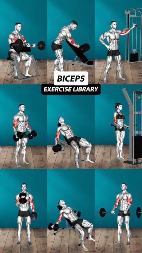 FITNESS KEY9 | ✅ Workout for Chest💪💪💯 #workout #gym #gymlifestyle #gymmotivation #workhard | Instagram Biceps And Forearm Workout, Biceps Workout At Gym, Tricep Gym Workout, Chest Workout Gym, Workout For Chest, Exercise Aesthetic, Upper Body Workout Gym, Big Biceps Workout, Bicep And Tricep Workout