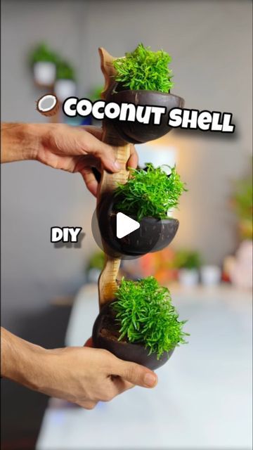 Coconut Shell Crafts Diy, Coconut Shell Art, Coconut Decoration, Bappa Photo, Food Tiktok, Pot Diy, Coconut Shell Crafts, Diy Coconut, Ganpati Bappa Photo