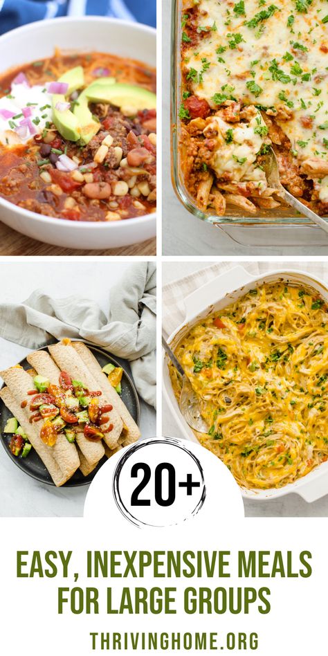 Easy Group Dinner, Meals For A Group, Dinner For Group, Passover Plates, Meals For Large Groups, Large Party Food, Batch Meals, Recipes Using Rotisserie Chicken, Big Family Meals