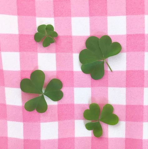 Lucky Clover, Lucky Girl, Cute Backgrounds, Four Leaf, Phone Themes, Green Aesthetic, Clover Leaf, Cute Icons, Color Combos