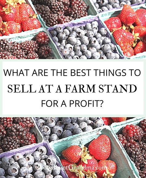 What Are The Best Things To Sell At A Farm Stand For A Profit? What To Sell In A Farm Stand, Starting A Farm Stand, Things To Sell At Farm Stand, Farm Stand Ideas To Sell, Farm Stand Items To Sell, Produce Stand Roadside, Farmstand Ideas Small Farm, What To Sell At Farmers Market, Honor System Farm Stand