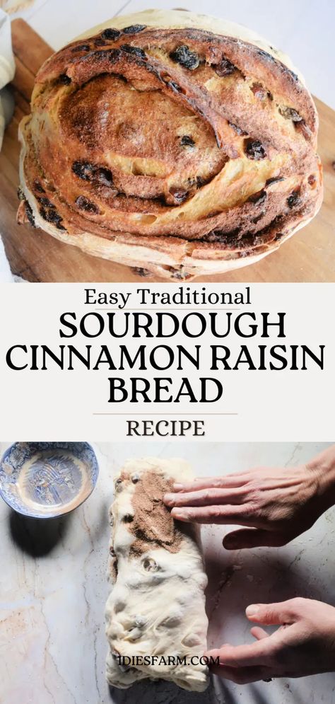 Freshly baked bread for The Best Cinnamon Raisin Sweet Sourdough Bread Recipe. Sweet Sourdough Bread Recipe, Sourdough Cinnamon Raisin Bread, Cinnamon Raisin Sourdough Bread, Raisin Sourdough Bread, Cinnamon Raisin Sourdough, Sourdough Cinnamon Raisin, Bagels Homemade, Cinnamon Raisin Bread Recipe, Homemade Sourdough Bread Recipes