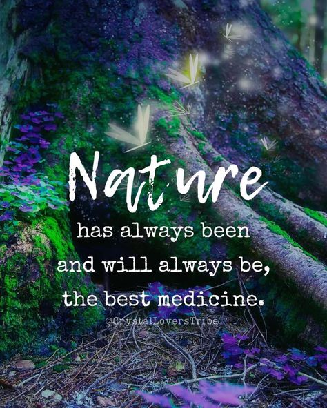 Nature Benefits Quotes, Quotes About Nature And Peace, Nature Therapy Quotes, Words About Nature, Organic Quote, Quotes About Nature, Forest Quotes, Walking Quotes, Nature Quotes Inspirational