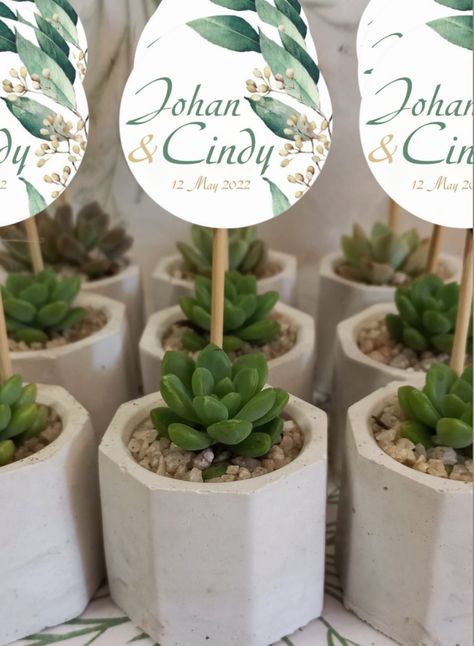 Succulent Wedding Favors in Octagonal Pots Honey Wedding Favors, Succulent Wedding Favors, Succulent Favors, Wedding Thank You Gifts, Handmade Packaging, Custom Chocolate, Succulent Gifts, Tea Bar, Succulent Wedding