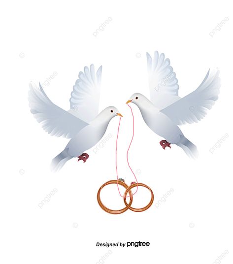 Engagement Announcement Pictures, Pigeon Png, Bride Clipart, خواتم خطوبة, Wedding Ring Clipart, Holy Spirit Dove, Wedding Doves, Birthday Logo, Dove Pictures