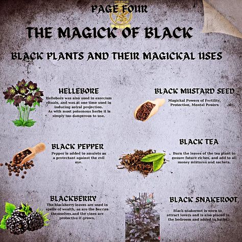 Don't fear the black! In witchcraft, black magic isn't evil, it's enigmatic. ✨ This powerful color brings protection, unveils hidden truths, and awakens your inner strength. . . . . . What will you use black magick for? #shadowwork #blackmagicmythbuster #witchcraftvibes #witchmemes #witchcraft #witchlife #witchtips #wordsofwisdom #themagickcabinet #witchwords #witchmemes Witchcraft Black Magic, Herb Magick, Real Black Magic, Healing Spell, Black Mustard Seeds, Vampire Kiss, Charmed Book Of Shadows, Magic Theme, Myth Busters