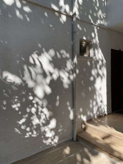 shadows of leaves against a wall Nature, Shadows On The Wall, Diriyah Gate, Shadow On Wall, Drawing Bow, House Collage, Frozen Jr, Leaf Shadow, Light And Shadow Photography