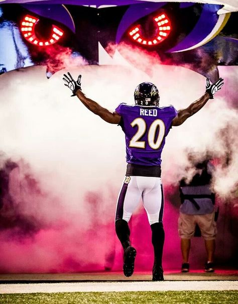 Ed reed Ed Reed, 32 Nfl Teams, Baltimore Ravens Football, Nfl Football Pictures, Nfl Football Art, Ravens Football, Football Players Images, Nfl Photos, Best Football Team