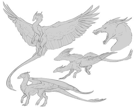 Dragon Arms Reference, Flying Dragon Reference, Two Dragons Drawing, Dragon Oc Reference, Dragon Leg Reference, Dragon Dynamic Pose, Two Legged Dragon, Armored Dragon Art, Wyvern Drawing Reference