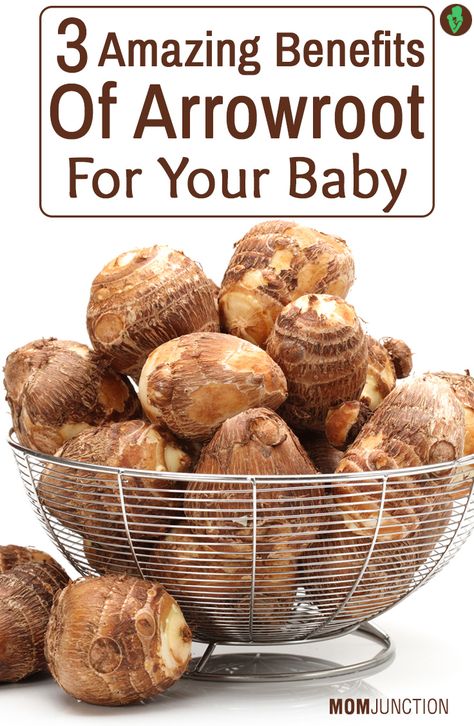 3 Amazing Benefits Of Arrowroot For Your Baby, or just for me! Arrowroot Benefits, Arrowroot Recipes, Arrowroot Flour, Natural Health Remedies, Health Remedies, Natural Healing, Natural Essential Oils, Everyday Food, Natural Health