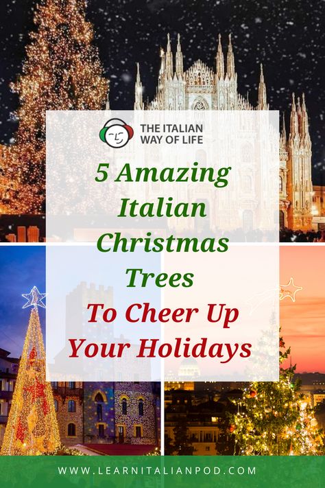 🎄 Experience the magic of Italian Natale with 5 stunning Christmas trees from Italy! From Milan's Piazza Della Scala to Rome's iconic Colosseum, bask in the glow of Italy's festive spirit. Discover traditional decorations and the world's largest tree in Gubbio. #ChristmasTreesInItaly #ItalianChristmasTrees 🇮🇹✨ Italian Christmas Tree, Italian Christmas Decorations, Italian Christmas Traditions, Italy Decor, Decorating A Christmas Tree, Ward Christmas Party, Italian Party, Christmas In Italy, Italian Christmas