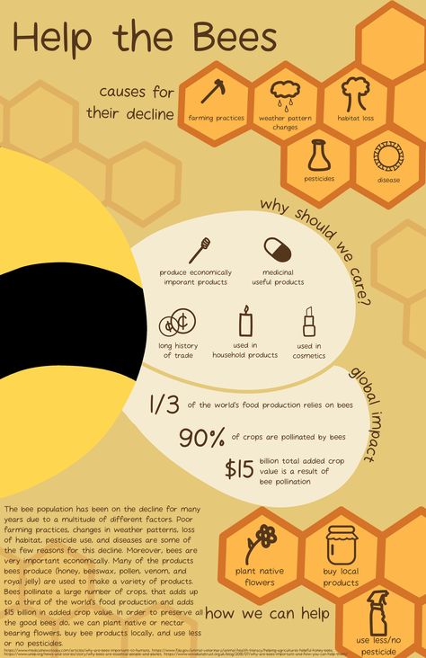 Honey Infographic, Bee Infographic, Bee Facts For Kids, Bees Infographic, Bees And Honey Poster, Honey Facts, Honey Bee Infographic, Honey Bee Facts, Honey Brand