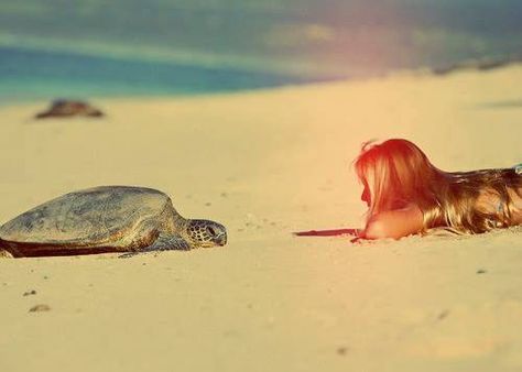 Spread the Word! Turtle Love, A Turtle, Foto Ideas Instagram, Summer Dream, Beach Babe, Beach Vibe, Island Life, Narnia, Instagram Foto