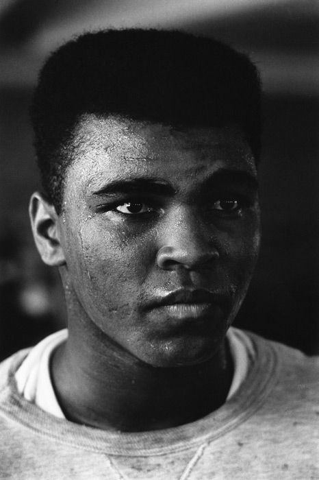 cassius clay at the 5th street gym,south beach fl,1964 Mohammad Ali Tattoo, Boxing Legends, Muhammad Ali Boxing, Cassius Clay, Mohammad Ali, Mohamed Ali, Muhammed Ali, Mohammed Ali, Float Like A Butterfly