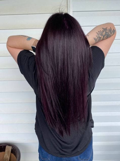 Black Violet Balayage, Dark Purple With Black Hair, Dark Hair W Purple Tint, Plum Hair On Brown Hair, Black Cherry Plum Hair Color, Dark Brown Hair With Tint Of Purple, Black Hair With Burgundy Tint, Black Eggplant Hair, Dark Redish Purpleish Hair