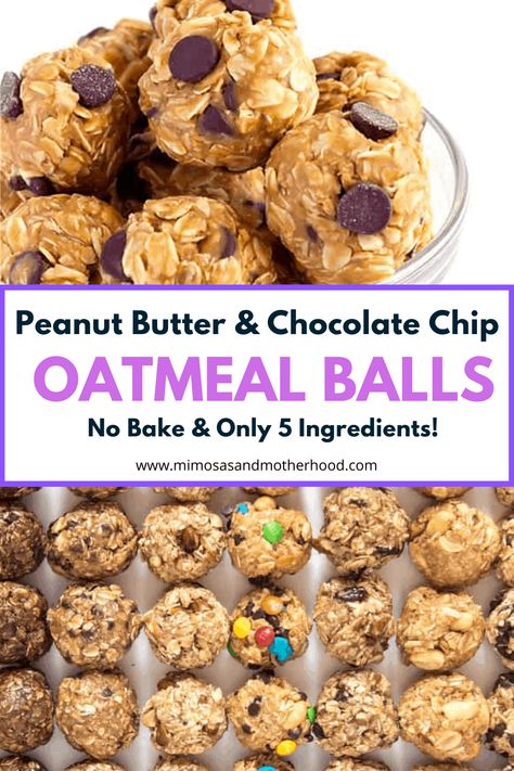 Chocolate Chip Oatmeal Balls, Chocolate Oatmeal Balls, Peanut Butter Oatmeal Balls, Peanut Butter Oatmeal Chocolate Chip, Oatmeal Balls, Oatmeal Bites, Honey Chocolate, No Bake Peanut Butter, Peanut Butter Oats