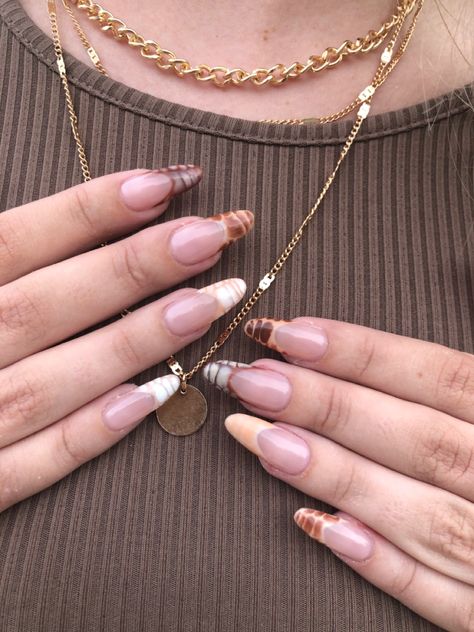 Snake Print Almond Nails, Croc Print French Tip Nails Almond, Almond Snake Nails, Crocodile Almond Nails, Brown Snake Nails, Snake Print French Tip Nails, Snake French Tip Nails, Autumn Nails Almond, Snake Print Nails