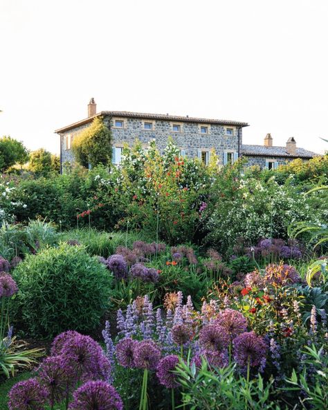 A dreamy Italian garden with an English flavour designed by @barfoot_design Vast lawns, roses and a mix of cottage-garden favourites give this stylish garden in central Italy a distinctly English flavour. 'For the past century and more British garden designers have gone out to work in Italy, offering something of our romantic Arts and Crafts style to a different climate and culture. Cecil Pinsent, Russell Page and Dan Pearson are among the leading designers who have trodden this route. St... Italian Rose Garden, Cottage Garden With Roses, Italian Garden Landscaping, National Trust Gardens, Italian Farmhouse, Seed Kit, Classic Cottage, Sissinghurst Castle Garden, Hydrangea Paniculata