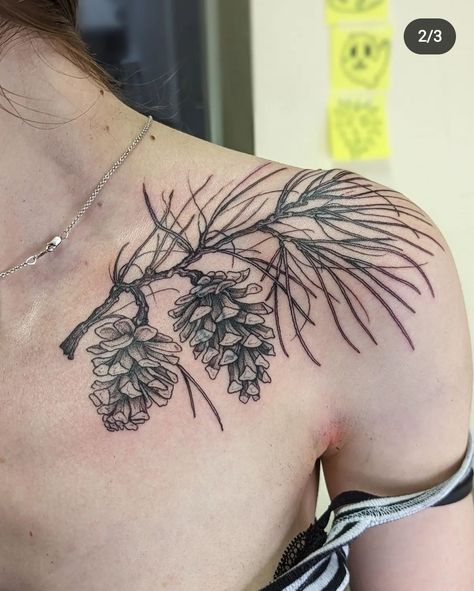 Fall Tattoo Ideas, Pinecone Tattoo, Fall Tattoos, Fall Tattoo, Nature Tattoo Ideas, Pine Tattoo, Cool Nature, Autumn Tattoo, Branch Tattoo