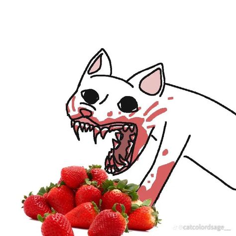 So Me, August 15, A Cat, Strawberries, Log In, Log, On Twitter, Twitter, On Instagram