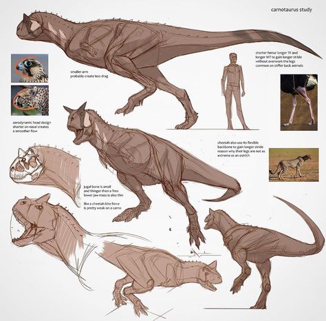 Jon Kuo on Instagram: “Carnotaurus study  disclaimer! I'm not a paleontologist or a paleobiologist and I never claim to be an animal expert I'm just a concept…” Triceratops Cute Drawing, Prehistoric Animals Art, Paleoart Illustrations, Dinosaur Art Reference, Carnotaurus Sketch, Dinosaur Anatomy Drawing, Carnotaurus Paleoart, Dinosaur Drawing References, Prehistoric Dragon