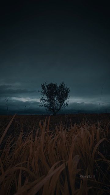 Moody Wallpaper Aesthetic, Moody Nature Aesthetic, Dark Sky Aesthetic, Dark Naturalism Aesthetic, Dark Moody Aesthetic, Shadows Aesthetic, Venus Aesthetic, Fantasy Sky, Landscape Dark