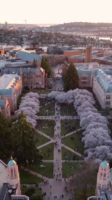 Tcu Campus Aesthetic, Seattle Pacific University, University Of Washington Seattle Campus, Uw University Of Washington, University District Seattle, U Of T Aesthetic, University Of Washington Campus, Uw Seattle Aesthetic, University Of Washington Seattle Aesthetic