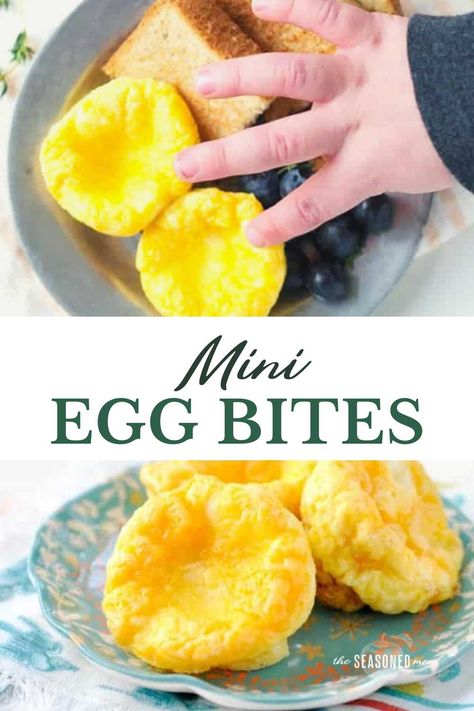 These 3-ingredient mini egg bites with cheese are a great make-ahead, healthy toddler breakfast or snack. Keep a stash in your refrigerator or freezer and reheat as necessary -- they're like portable, mess-free scrambled egg cups! Egg Cups Breakfast Freezer, Egg Cups For Toddlers, Egg And Cheese Mini Muffins, Mini Egg Bites Muffin Tins, Make Ahead Toddler Snacks, Cream Cheese Egg Bites, Egg Bites No Cheese, Different Ways To Eat Eggs, Frozen Egg Bites