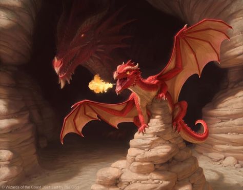 Mtg Art, Dnd Dragons, Cool Dragons, Dragon Rider, Dragon Pictures, Dragon Games, Dnd Art, Fantasy Creatures Art, Dragon Artwork