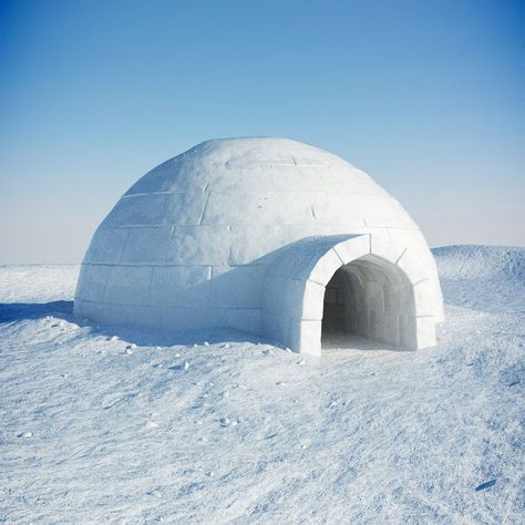 See Think Wonder, Igloo House, Igloo Ice, Snow Fort, Pole Nord, Ice Houses, Snow Fun, Winter Aesthetic, Best Places To Travel