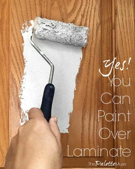 You can totally paint over laminate cabinets, if you use the right products! See how easy it is, with no sanding. #paintlaminate #paintedcabinets #kitchenmakeover Paint Laminate Cabinets, Painting Laminate Cabinets, How To Paint Laminate, Painting Laminate Furniture, Diy Kitchen Cabinets Painting, Painting Laminate, Laminate Cabinets, Laminate Furniture, Camper Reno