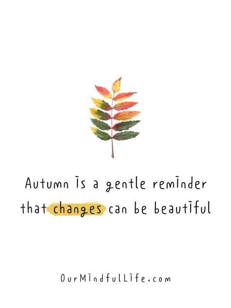 Autumn Reminds Us How Beautiful, I Notice That Autumn Is More, Fall Is A Reminder That Change Can Be Beautiful, Fall Wellness Quotes, Quote About October, Fall Change Is Beautiful Quote, Start Of Fall Quotes, Autumn Aesthetic Quotes Positive, Inspirational Fall Quote