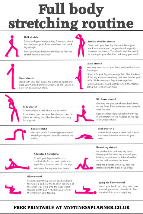 Pre Workout Stretches, Best Stretching Exercises, Full Body Stretching Routine, Daily Stretching Routine, Post Workout Stretches, Body Stretching, Daily Stretches, Stretching Routine, Full Body Stretch