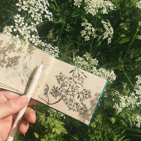 Artist Aesthetic, Art Diary, Arte Sketchbook, Sketchbook Inspiration, Nature Journal, Pen Art, Sketchbook Art Inspiration, Art Journal Inspiration, Pretty Art