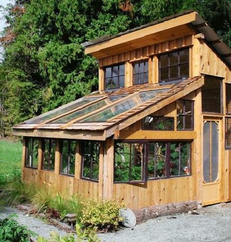 15 DIY Pallet Greenhouse Plans & Ideas That Are Sure to Inspire You Serre Palette, Amazing Greenhouse, Pallet Greenhouse, Serre Diy, Greenhouse Shed, Backyard Greenhouse, Greenhouse Plans, Entryway Wall, Diy Greenhouse