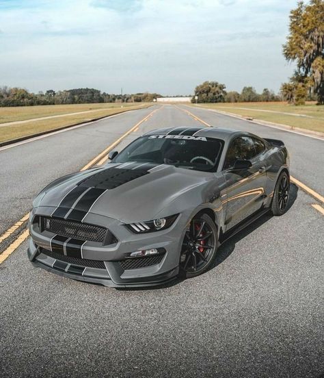 Nice Nardo Gray GT350 #mustang #ford #gt #americanmuscle #shelby #mustanglife #stance #mustanggt #gt350 #gt500 Mustang Gt 350, Mobil Mustang, Shelby Gt 500, Mustang Gt500, Aesthetic Cool, Grey Car, Ford Mustang Car, Car Organization, Aesthetic Car