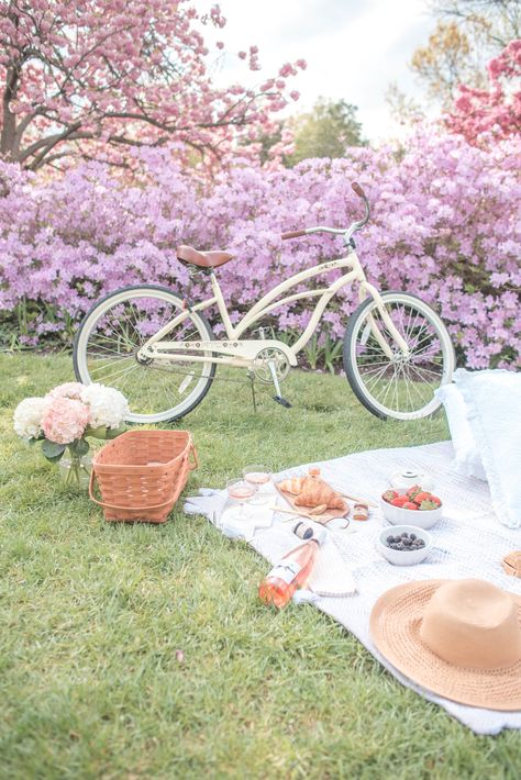 Picnic Styling, Summer Hosting, Styled Photoshoot, Spring Picnic, Picnic Inspiration, Cherry Blossom Wedding, Spring Refresh, Spring Staples, Spring Pictures